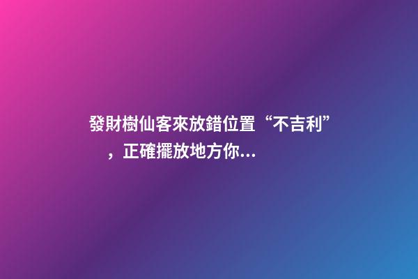 發財樹仙客來放錯位置“不吉利”，正確擺放地方你清楚嗎？
